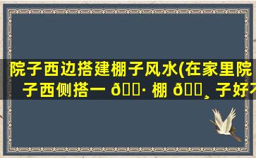 院子西边搭建棚子风水(在家里院子西侧搭一 🕷 棚 🌸 子好不好)